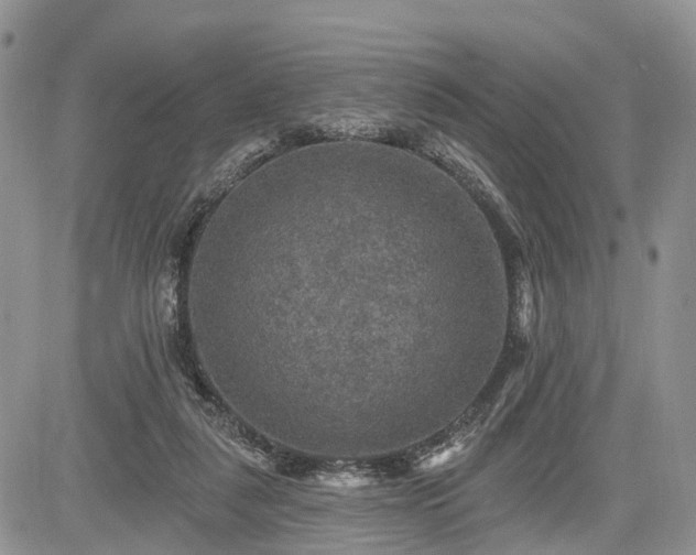 X0000085260259200703161411