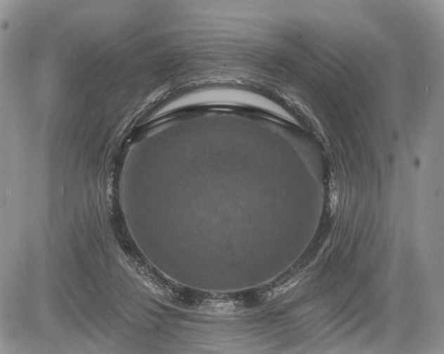 X0000085260260200703161411