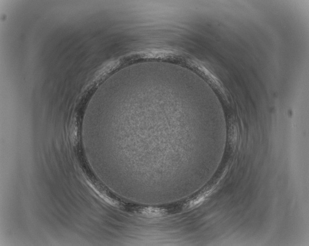 X0000085260261200703161411