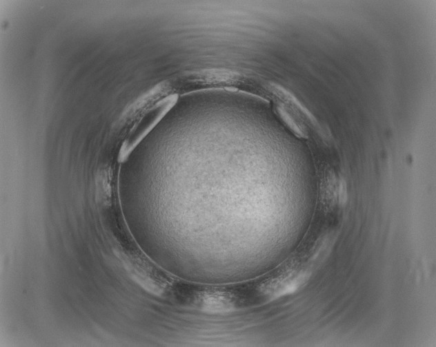 X0000085260264200703161411