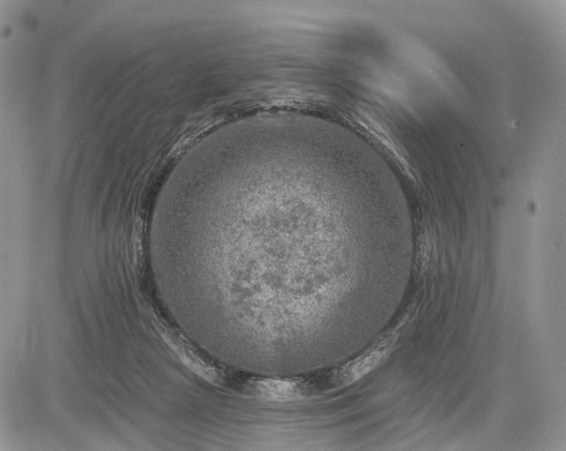 X0000085260265200703161411