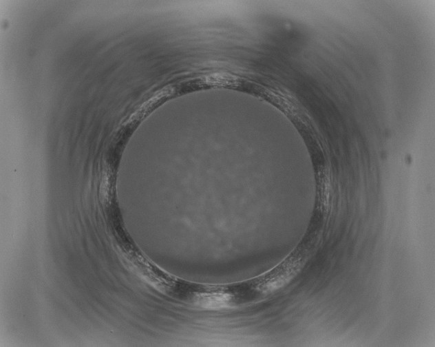 X0000085260266200703161411