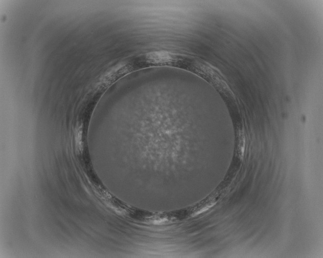 X0000085260267200703161411