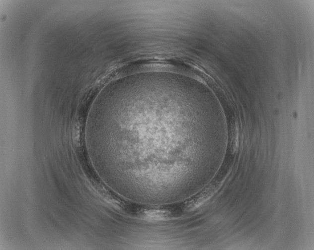 X0000085260268200703161411