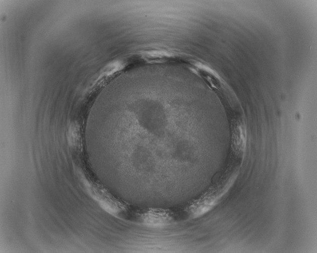 X0000085260270200703161412