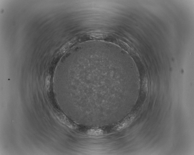 X0000085260271200703161412