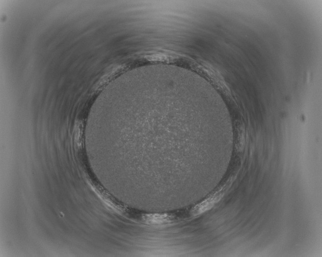 X0000085260273200703161412