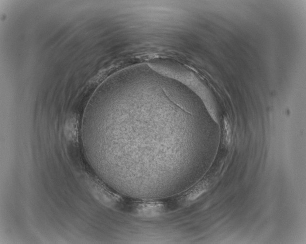 X0000085260274200703161412