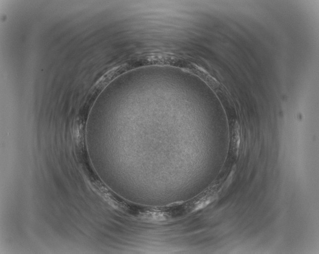 X0000085260276200703161412