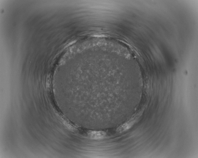 X0000085260277200703161412