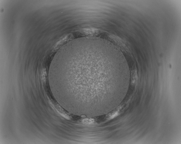 X0000085260279200703161412