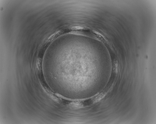 X0000085260280200703161412