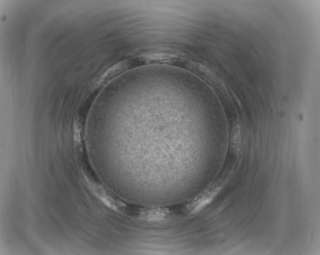 X0000085260282200703161412