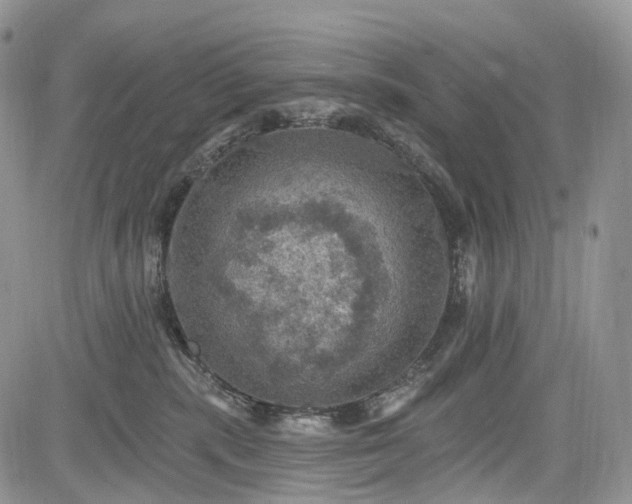 X0000085260283200703161412