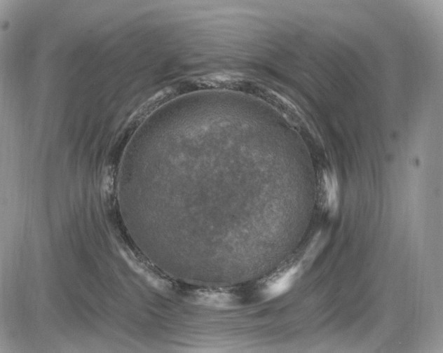 X0000085260284200703161412