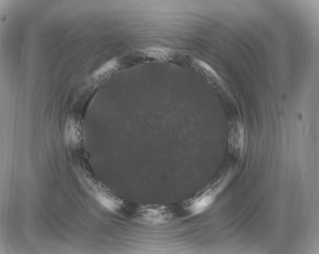 X0000085260285200703161412