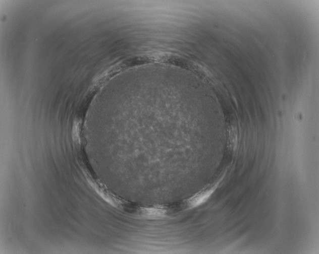 X0000085260286200703161412