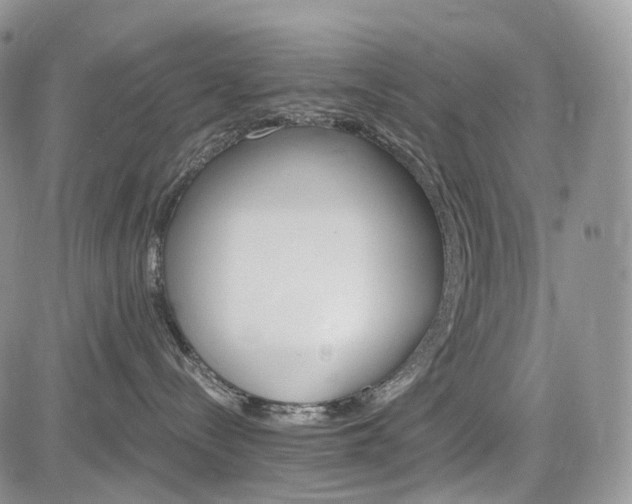 X0000085260288200703161412