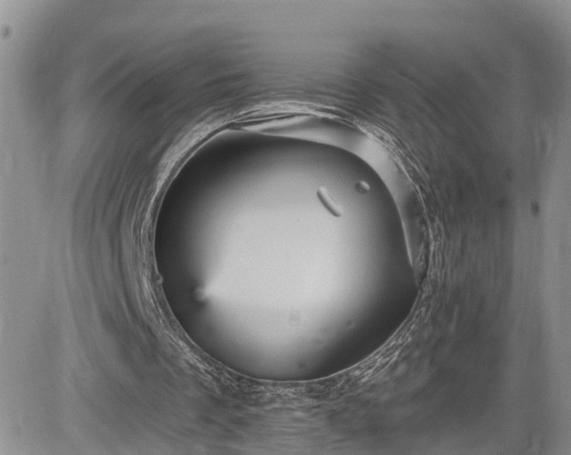 X0000085260289200703161411