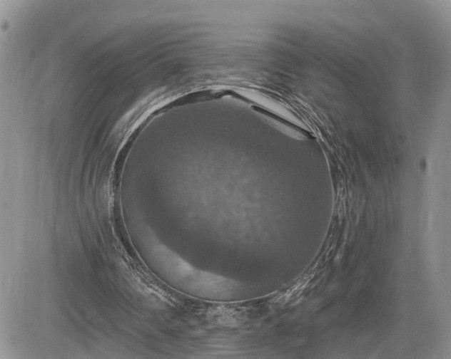 X0000085260290200703161411