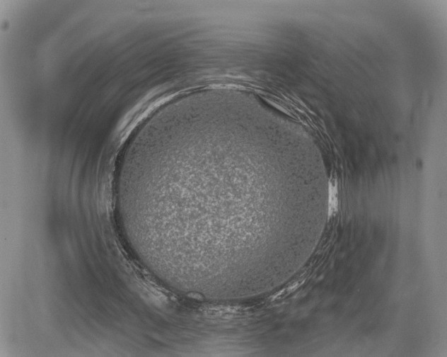 X0000085260291200703161411