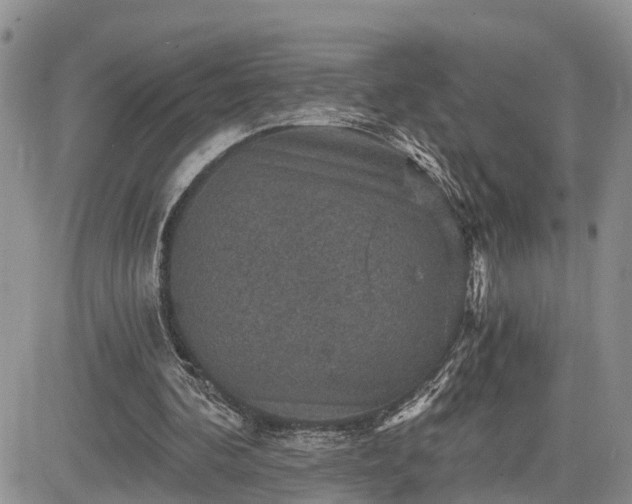 X0000085260292200703161411