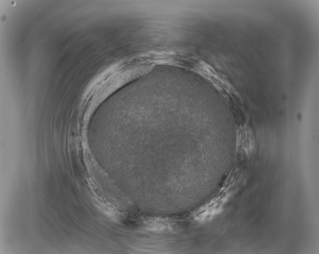 X0000085260293200703161411