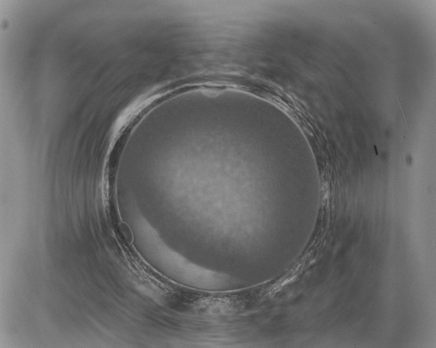 X0000085260294200703161411