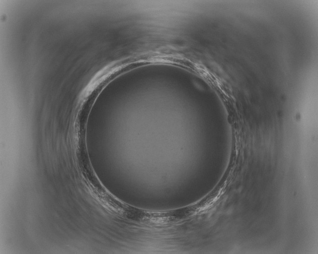 X0000085260295200703161411