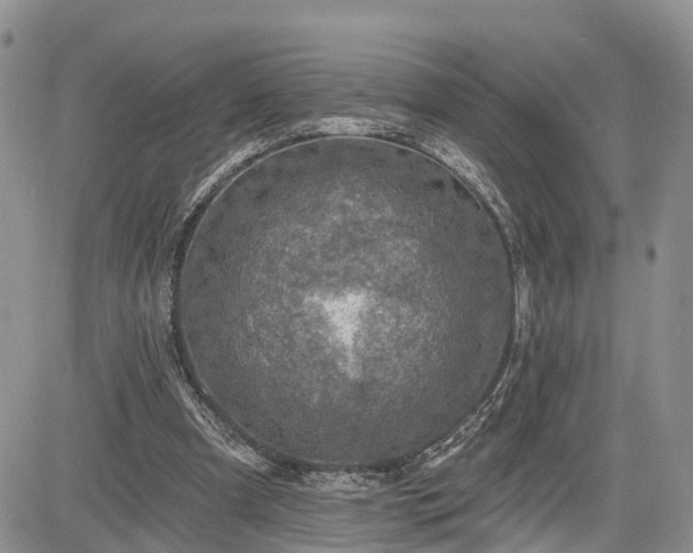 X0000085260297200703161411