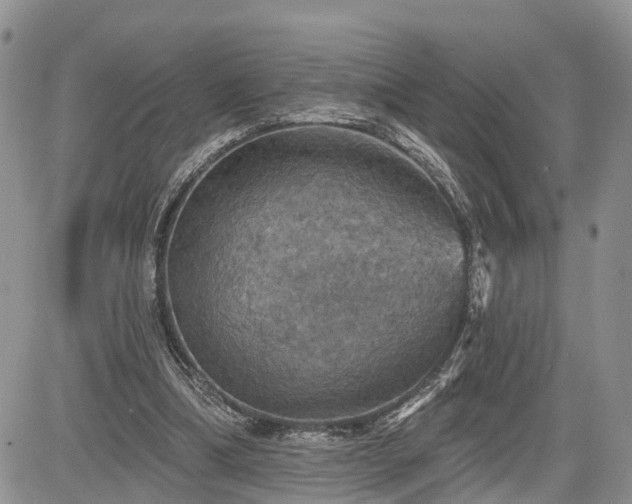 X0000085260298200703161411