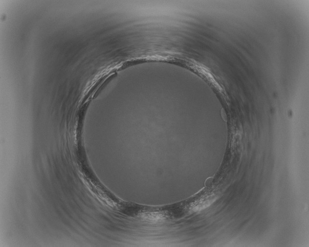 X0000085260299200703161411