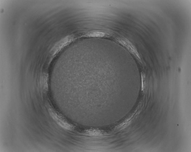 X0000085260300200703161411