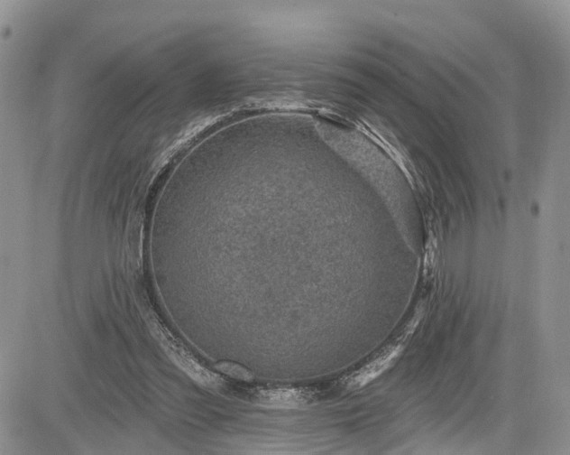 X0000085260301200703161411