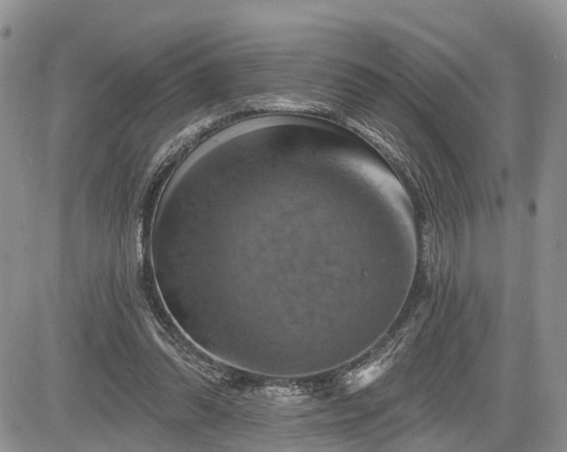 X0000085260302200703161411