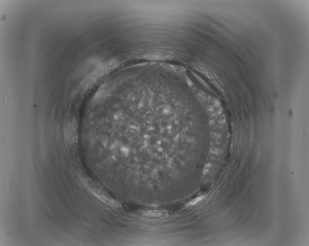 X0000085260303200703161411