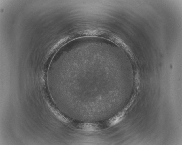 X0000085260305200703161411