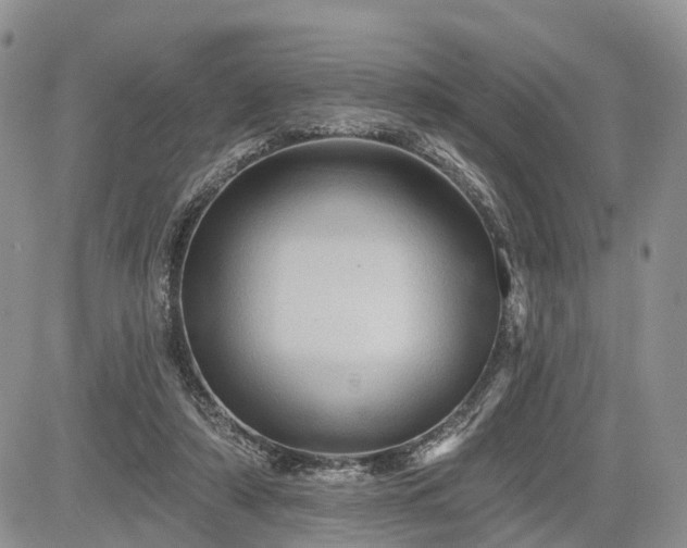 X0000085260306200703161411