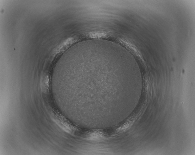 X0000085260308200703161411