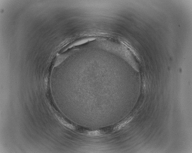 X0000085260309200703161411