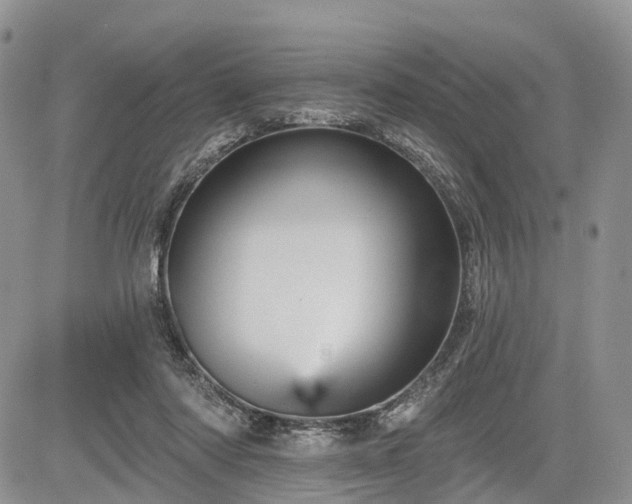 X0000085260310200703161411