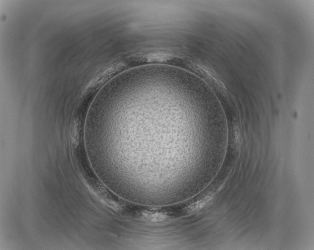 X0000085260311200703161411