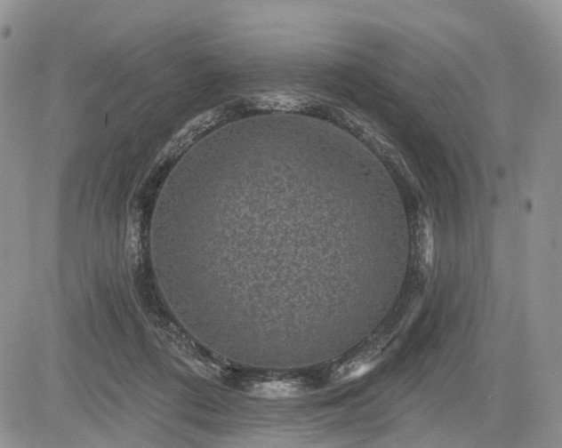 X0000085260312200703161411