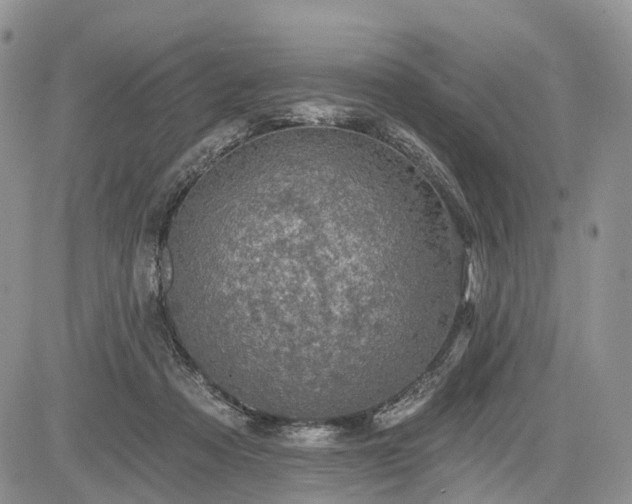 X0000085260313200703161411