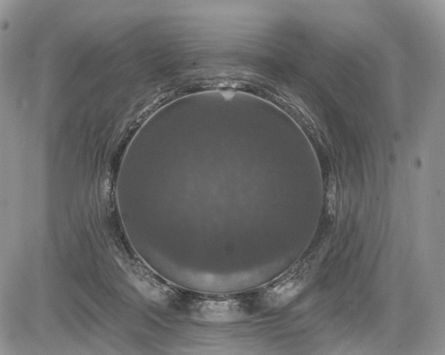 X0000085260314200703161411