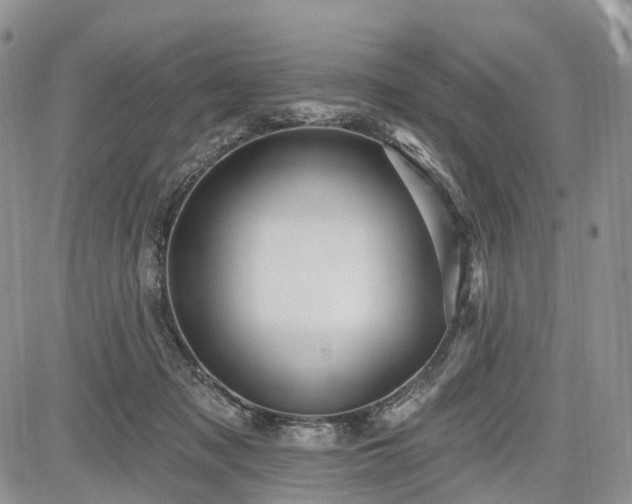 X0000085260317200703161411