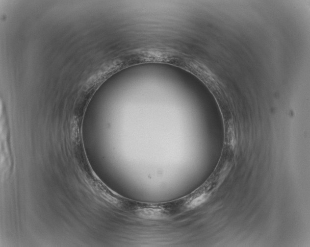 X0000085260318200703161411