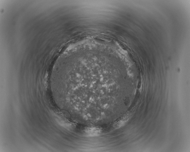 X0000085260319200703161411