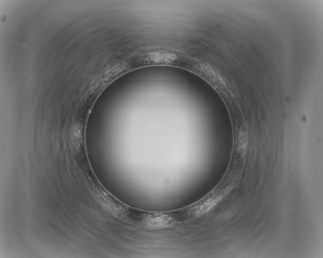 X0000085260321200703161410