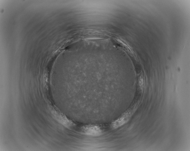 X0000085260322200703161410